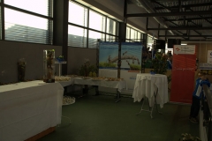 Bilder Hohberger Hallenmasters 2015 0037