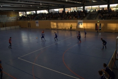 Bilder Hohberger Hallenmasters 2015 0090