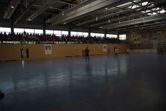 Bilder Hohberger Hallenmasters 2015 0141